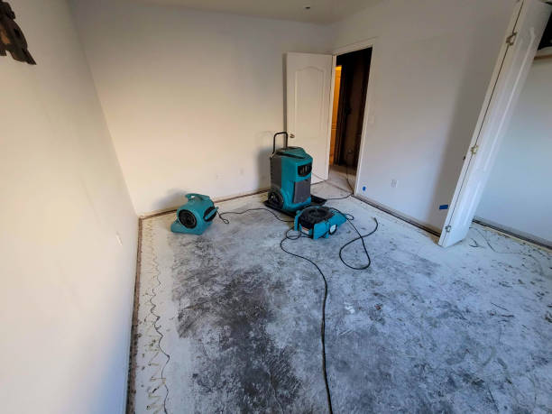 Best Carpet water damage restoration  in Abaster, AL
