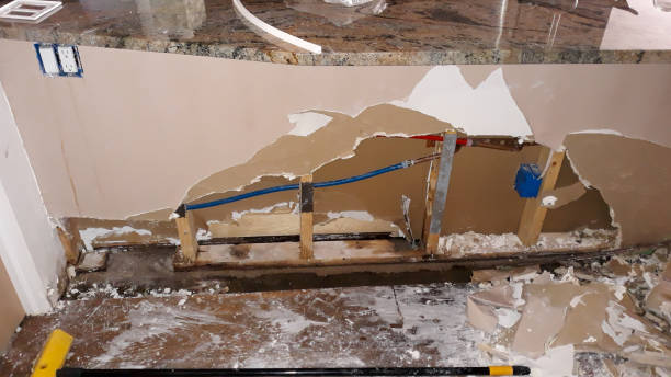 Best Mold removal after water damage  in Abaster, AL