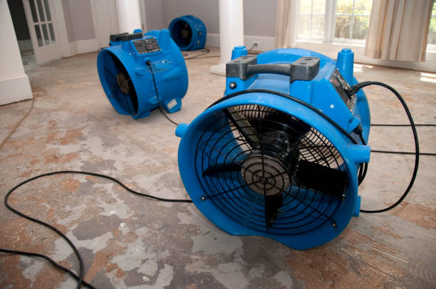 Best Water damage restoration services  in Abaster, AL
