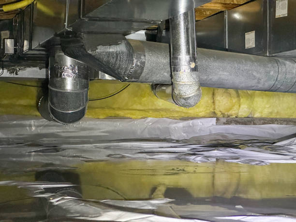 Best Water damage repair service  in Abaster, AL