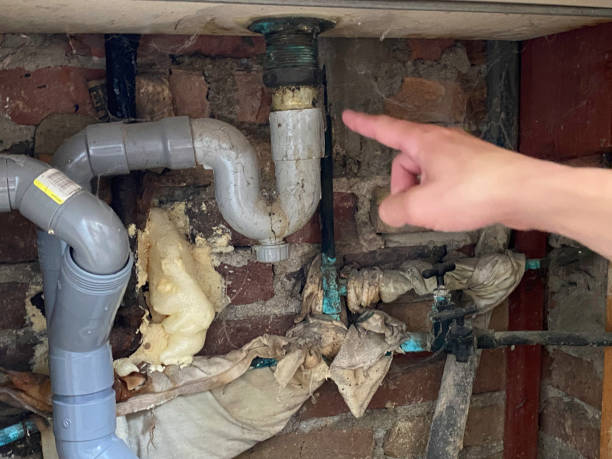 Best Water damage contractors near me  in Abaster, AL