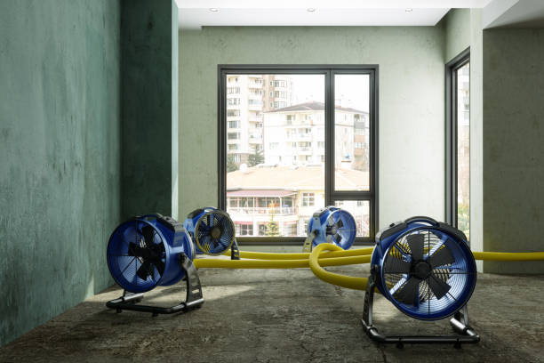Best Water damage restoration near me  in Abaster, AL