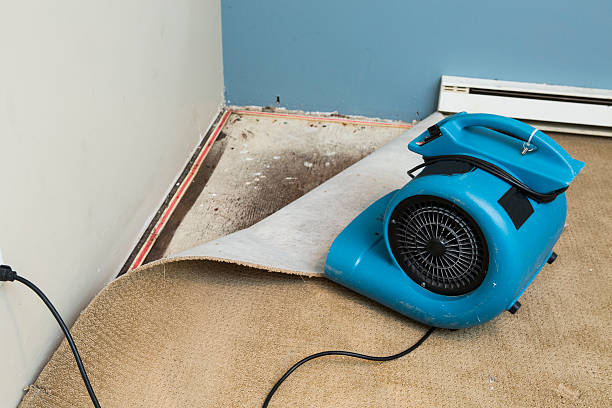 Best Emergency water damage restoration  in Abaster, AL